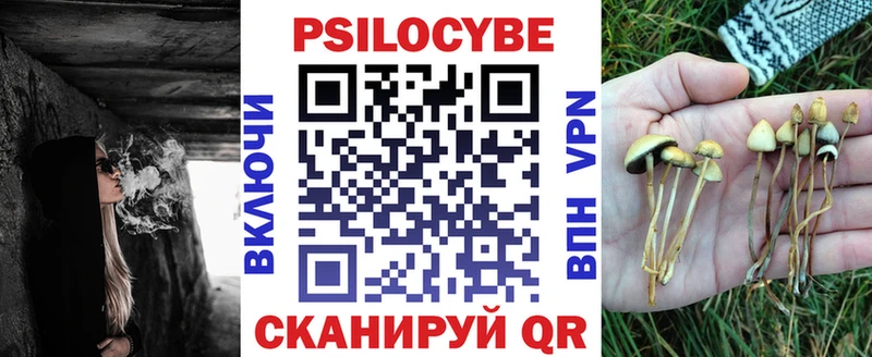 Купить  Протвино  Галлюциногенные грибы GOLDEN TEACHER 
